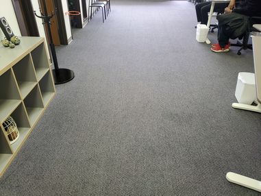 Commercial Carpet Cleaning in Roseville, MI (2)