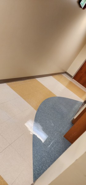 Medical Facility Cleaning Services in Hazel Park, MI (3)